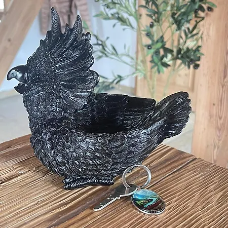 Black Cockatoo Close To Bern And Thun Oberdiessbach