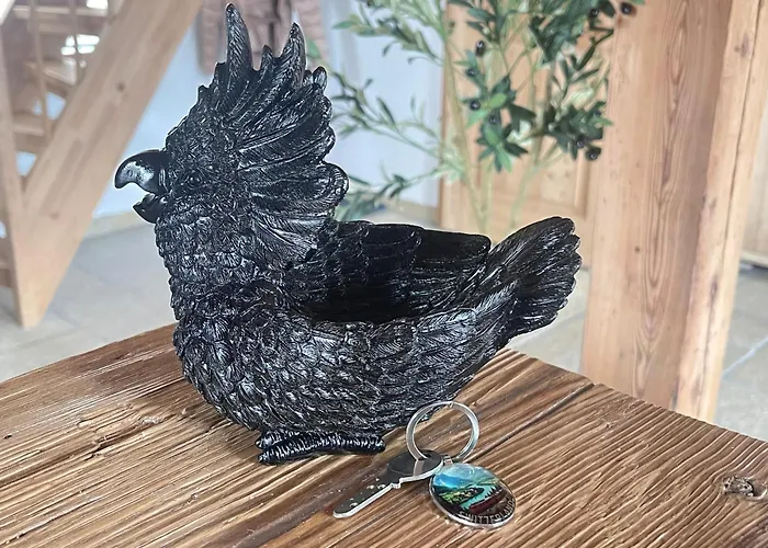 Black Cockatoo Close To Bern And Thun Oberdiessbach